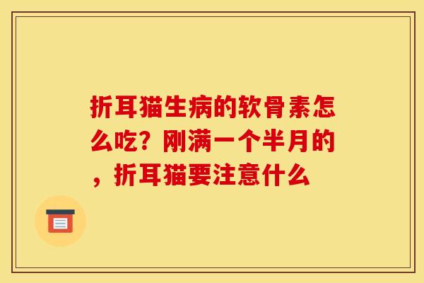 折耳猫生病的软骨素怎么吃？刚满一个半月的，折耳猫要注意什么