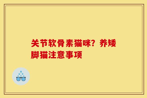 关节软骨素猫咪？养矮脚猫注意事项