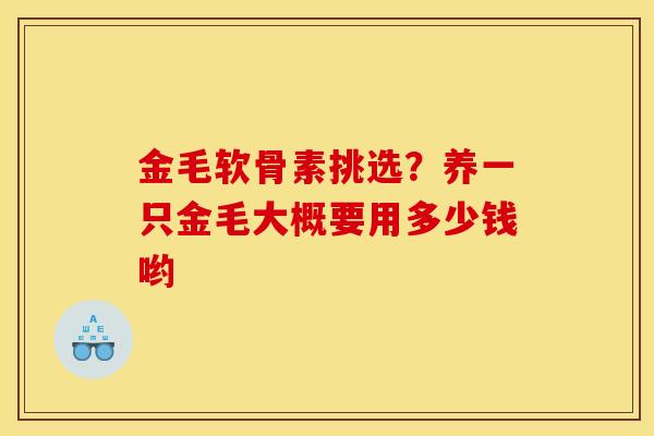 金毛软骨素挑选？养一只金毛大概要用多少钱哟