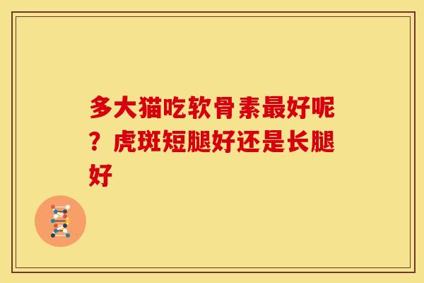 多大猫吃软骨素最好呢？虎斑短腿好还是长腿好