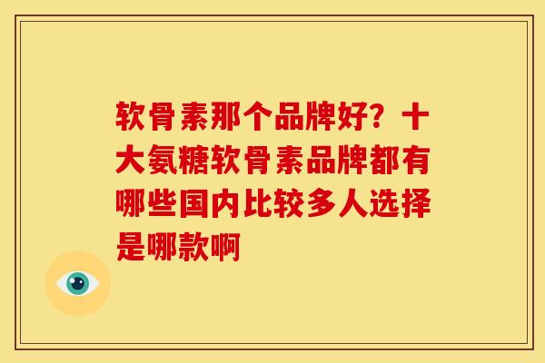 软骨素那个品牌好？十大氨糖软骨素品牌都有哪些国内比较多人选择是哪款啊