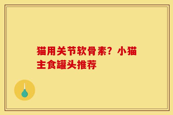 猫用关节软骨素？小猫主食罐头推荐