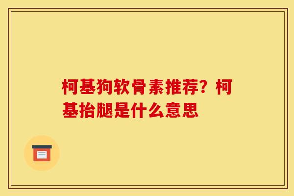 柯基狗软骨素推荐？柯基抬腿是什么意思