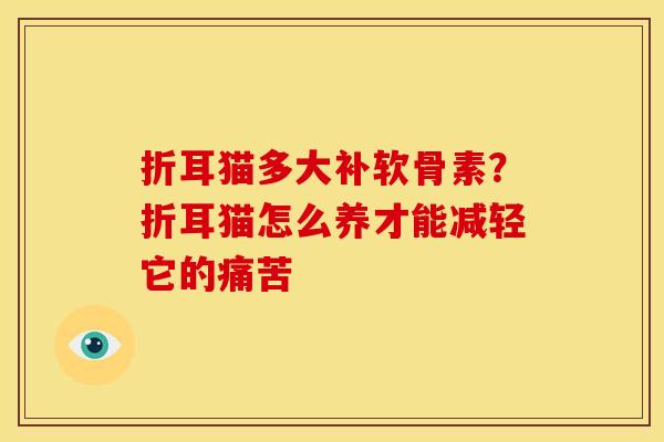折耳猫多大补软骨素？折耳猫怎么养才能减轻它的痛苦
