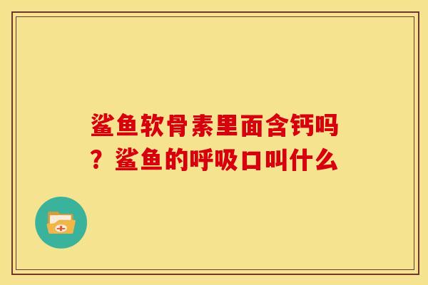 鲨鱼软骨素里面含钙吗？鲨鱼的呼吸口叫什么