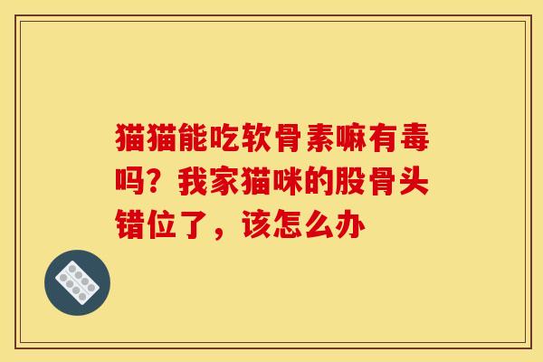 猫猫能吃软骨素嘛有毒吗？我家猫咪的股骨头错位了，该怎么办