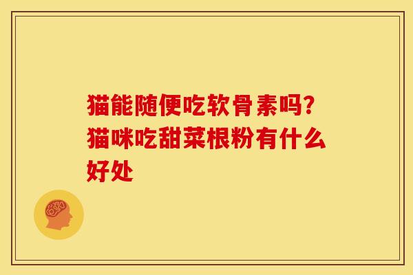 猫能随便吃软骨素吗？猫咪吃甜菜根粉有什么好处