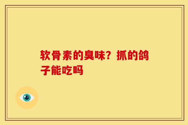 软骨素的臭味？抓的鸽子能吃吗