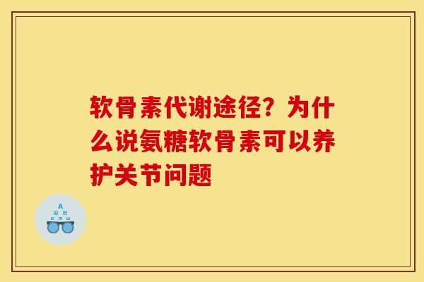 软骨素代谢途径？为什么说氨糖软骨素可以养护关节问题