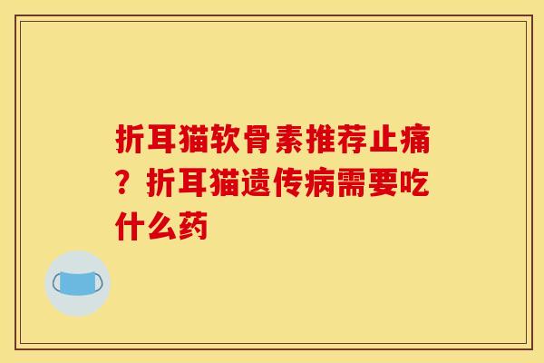 折耳猫软骨素推荐止痛？折耳猫遗传病需要吃什么药