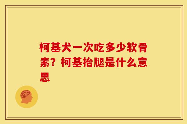 柯基犬一次吃多少软骨素？柯基抬腿是什么意思