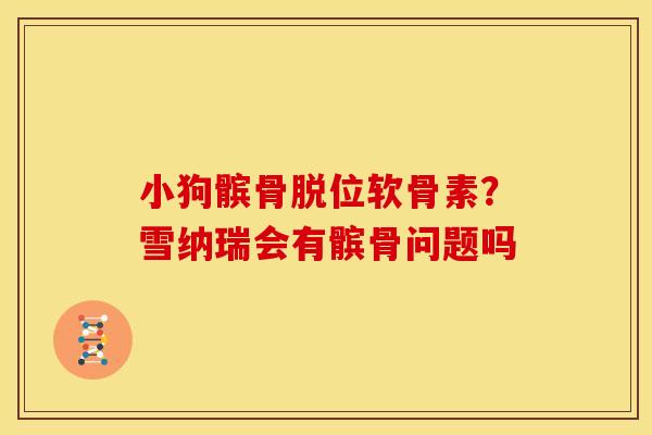 小狗髌骨脱位软骨素？雪纳瑞会有髌骨问题吗