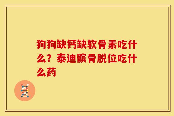 狗狗缺钙缺软骨素吃什么？泰迪髌骨脱位吃什么药-第1张图片-关节骑士