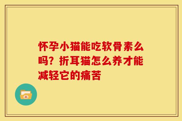 怀孕小猫能吃软骨素么吗？折耳猫怎么养才能减轻它的痛苦