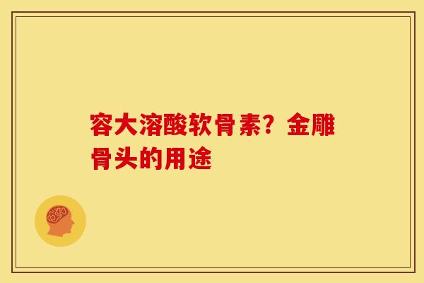 容大溶酸软骨素？金雕骨头的用途