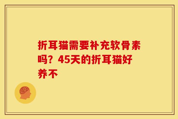 折耳猫需要补充软骨素吗？45天的折耳猫好养不