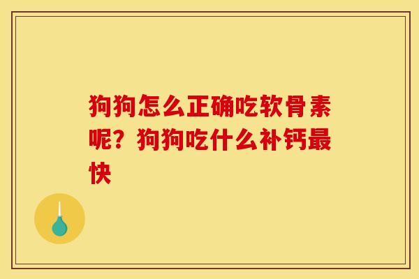 狗狗怎么正确吃软骨素呢？狗狗吃什么补钙最快