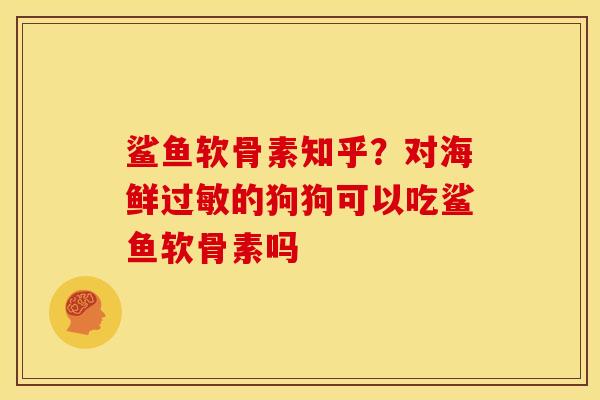 鲨鱼软骨素知乎?对海鲜过敏的狗狗可以吃鲨鱼软骨素吗-第1张图片-关节骑士 鲨鱼软骨素知乎?对海鲜过敏的狗狗可以吃鲨鱼软骨素吗-第1张图片-关节骑士
