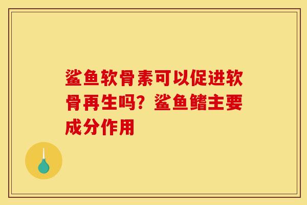 鲨鱼软骨素可以促进软骨再生吗？鲨鱼鳍主要成分作用