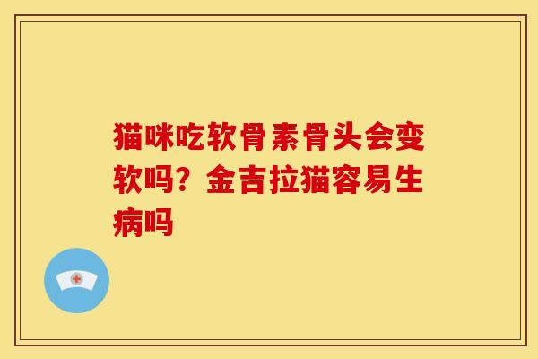 猫咪吃软骨素骨头会变软吗？金吉拉猫容易生病吗