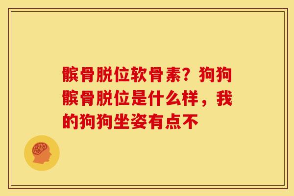 髌骨脱位软骨素？狗狗髌骨脱位是什么样，我的狗狗坐姿有点不