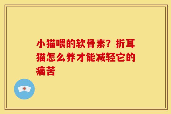 小猫喂的软骨素？折耳猫怎么养才能减轻它的痛苦-第1张图片-关节骑士
