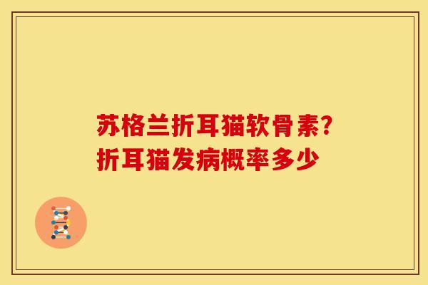 苏格兰折耳猫软骨素？折耳猫发病概率多少