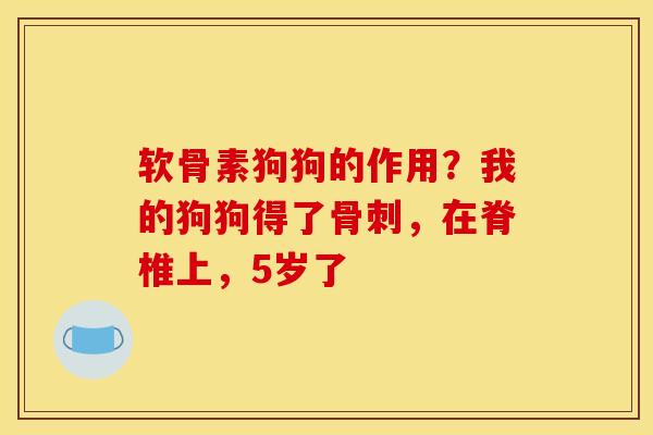 软骨素狗狗的作用？我的狗狗得了骨刺，在脊椎上，5岁了
