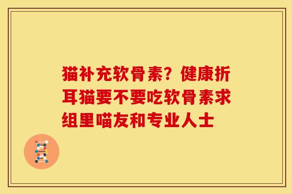 猫补充软骨素？健康折耳猫要不要吃软骨素求组里喵友和专业人士