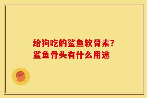 给狗吃的鲨鱼软骨素？鲨鱼骨头有什么用途