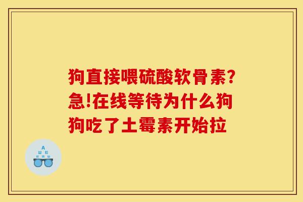 狗直接喂硫酸软骨素？急!在线等待为什么狗狗吃了土霉素开始拉