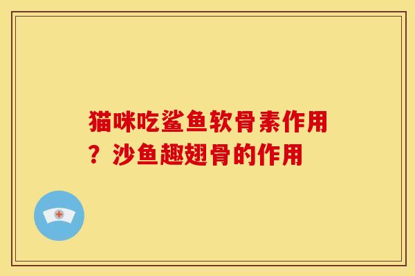 猫咪吃鲨鱼软骨素作用？沙鱼趣翅骨的作用