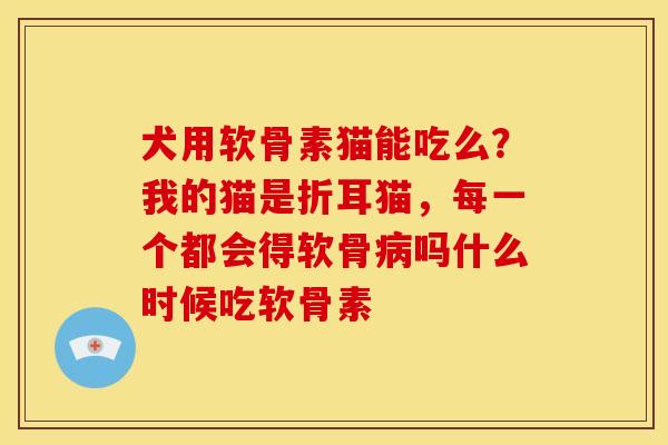 犬用软骨素猫能吃么？我的猫是折耳猫，每一个都会得软骨病吗什么时候吃软骨素