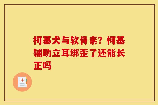 柯基犬与软骨素？柯基辅助立耳绑歪了还能长正吗