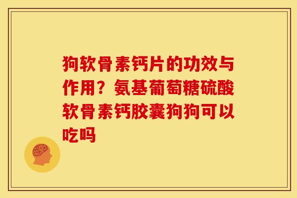 狗软骨素钙片的功效与作用？氨基葡萄糖硫酸软骨素钙胶囊狗狗可以吃吗