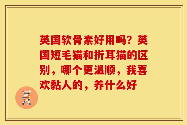 英国软骨素好用吗？英国短毛猫和折耳猫的区别，哪个更温顺，我喜欢黏人的，养什么好