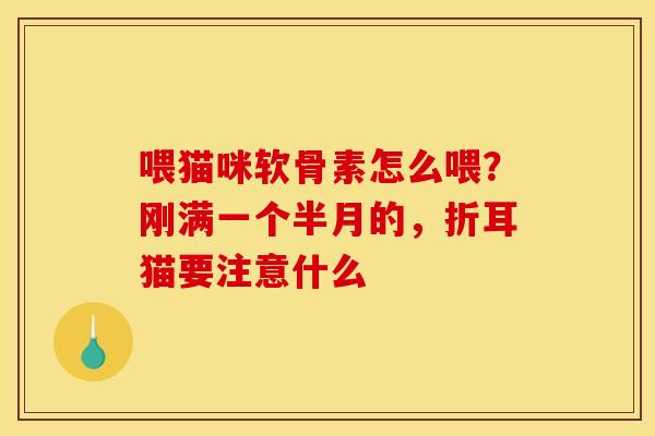 喂猫咪软骨素怎么喂？刚满一个半月的，折耳猫要注意什么