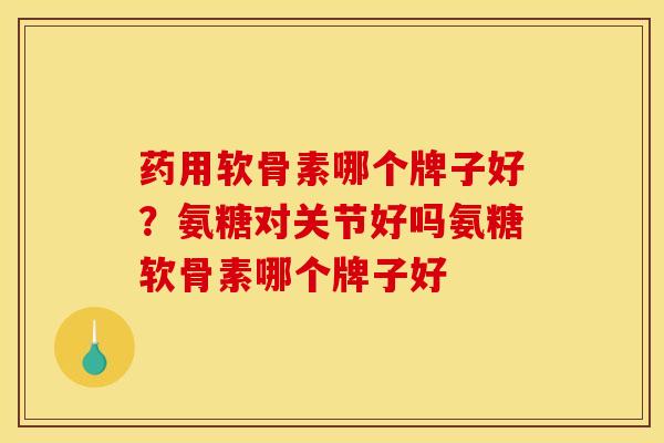药用软骨素哪个牌子好？氨糖对关节好吗氨糖软骨素哪个牌子好