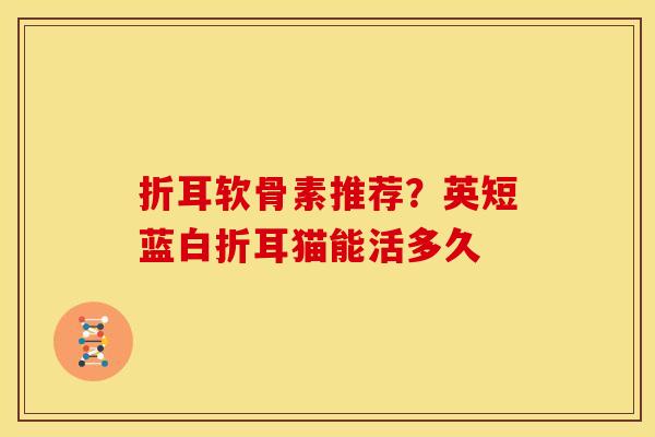 折耳软骨素推荐？英短蓝白折耳猫能活多久