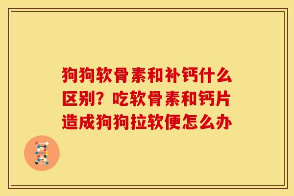 狗狗软骨素和补钙什么区别？吃软骨素和钙片造成狗狗拉软便怎么办