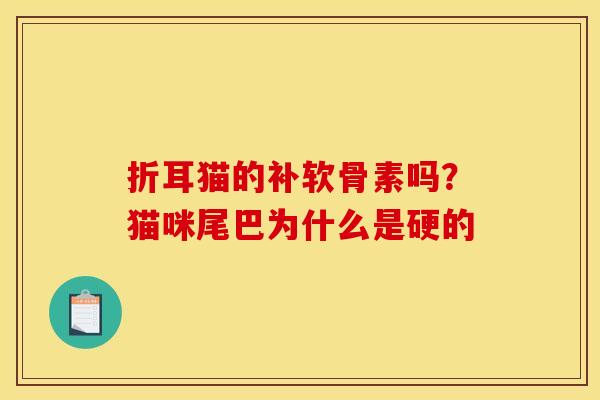 折耳猫的补软骨素吗？猫咪尾巴为什么是硬的
