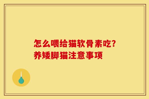 怎么喂给猫软骨素吃？养矮脚猫注意事项