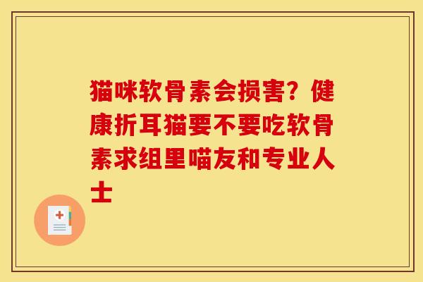 猫咪软骨素会损害？健康折耳猫要不要吃软骨素求组里喵友和专业人士