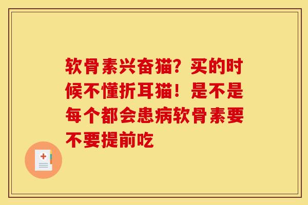 软骨素兴奋猫？买的时候不懂折耳猫！是不是每个都会患病软骨素要不要提前吃-第1张图片-关节骑士