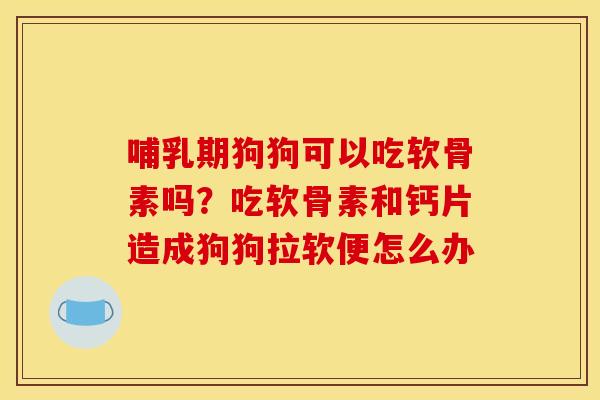 哺乳期狗狗可以吃软骨素吗？吃软骨素和钙片造成狗狗拉软便怎么办