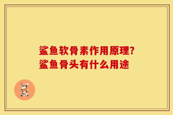 鲨鱼软骨素作用原理？鲨鱼骨头有什么用途