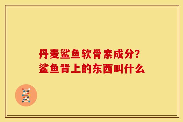 丹麦鲨鱼软骨素成分？鲨鱼背上的东西叫什么