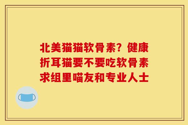 北美猫猫软骨素？健康折耳猫要不要吃软骨素求组里喵友和专业人士