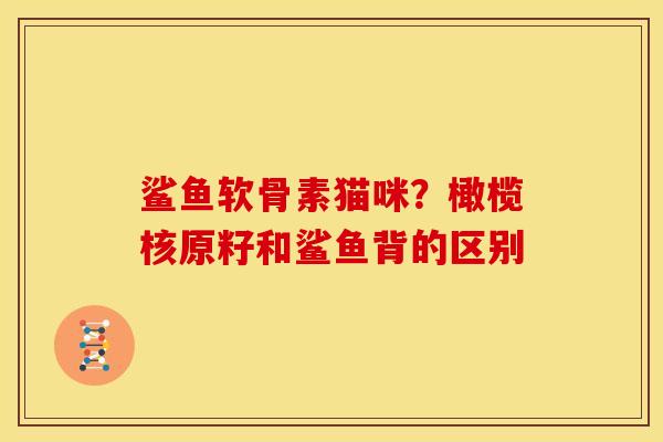 鲨鱼软骨素猫咪？橄榄核原籽和鲨鱼背的区别