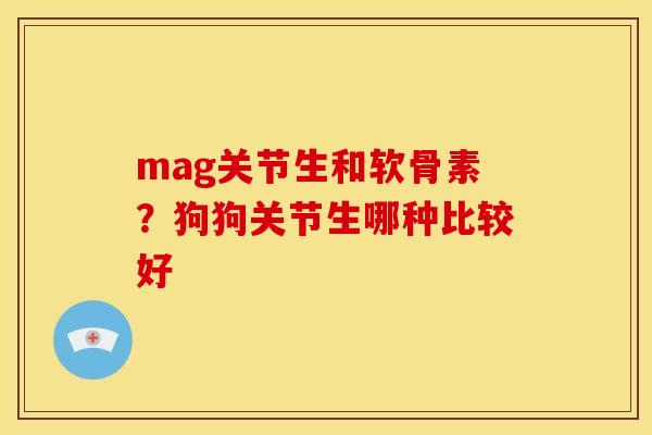 mag关节生和软骨素？狗狗关节生哪种比较好
